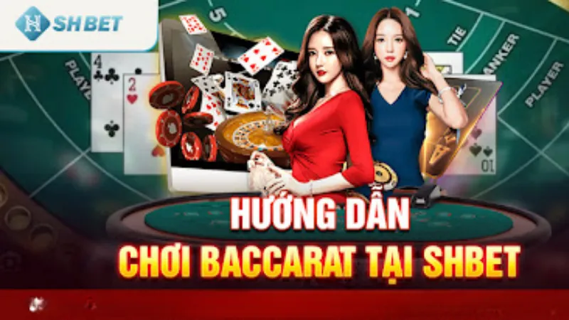 Bật mí kinh nghiệm chơi Baccarat Shbet