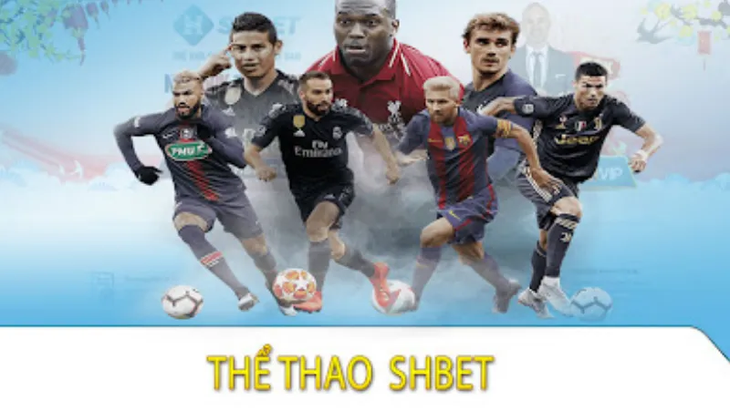 Giới thiệu về sảnh thể thao Shbet thú vị
